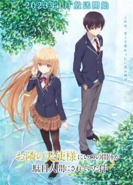 Xem Phim Thiên Sứ nhà bên Vietsub HD Online