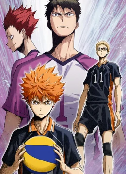 Xem Phim Thiếu niên bóng chuyền!! Trận chiến quan niệm Vietsub HD Online