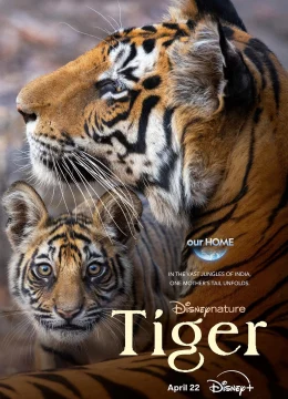 Xem Phim Tiger Vietsub HD Online