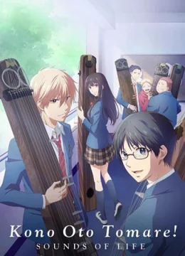 Tuổi thanh xuân bên cây đàn Koto (Phần 1)