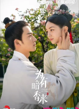 Vi Hữu Ám Hương Lai – Tẩy Duyên Hoa