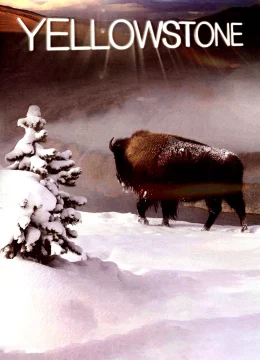 Xem Phim Yellowstone Vietsub HD Online
