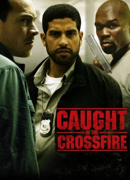 Bị bắt trong cuộc chiến