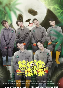 Gấu Trúc Và Bạn, Lăn Đến Đây!