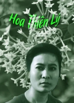 Xem Phim Hoa Thiên Lý Vietsub HD Online