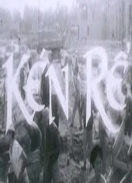 Xem Phim Kén Rể Vietsub HD Online