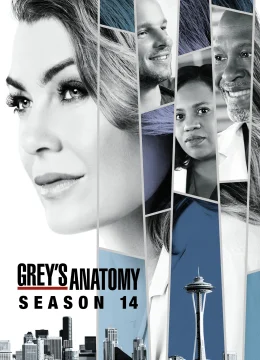Ca Phẫu Thuật Của Grey (Phần 14)