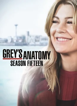 Xem Phim Ca Phẫu Thuật Của Grey (Phần 15) Vietsub HD Online