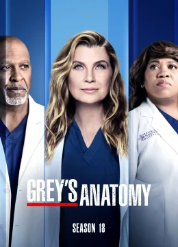 Xem Phim Ca Phẫu Thuật Của Grey (Phần 18) Vietsub HD Online