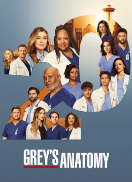 Xem Phim Ca Phẫu Thuật Của Grey (Phần 20) Vietsub HD Online