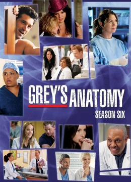 Xem Phim Ca Phẫu Thuật Của Grey (Phần 6) Vietsub HD Online