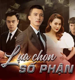 Lựa Chọn Số Phận