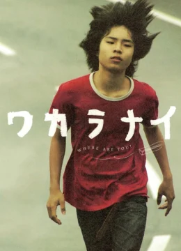 Xem Phim Tôi không hiểu Vietsub HD Online