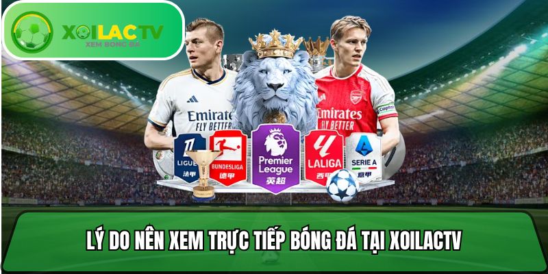 Lý do nên xem trực tiếp bóng đá tại xoi lac tv