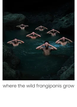 Xem Phim Nơi hoa sứ dại mọc Vietsub HD Online